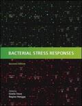 Storz / Hengge |  Bacterial Stress Responses | Buch |  Sack Fachmedien