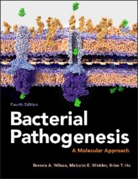 Wilson / Winkler / Ho |  Bacterial Pathogenesis | eBook | Sack Fachmedien