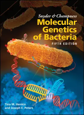 Henkin / Peters | Snyder and Champness Molecular Genetics of Bacteria | Buch | 978-1-55581-975-0 | sack.de