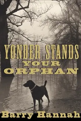Hannah |  Yonder Stands Your Orphan | eBook | Sack Fachmedien