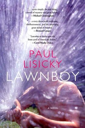 Lisicky |  Lawnboy | Buch |  Sack Fachmedien