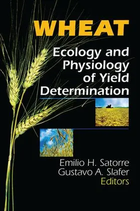 Satorre / Slafer | Wheat | Buch | 978-1-56022-874-5 | sack.de