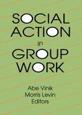 Vinik / Levin |  Social Action in Group Work | Buch |  Sack Fachmedien