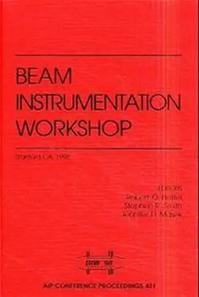 Hettel / Smith / Masek |  Beam Instrumentation: Proceedings of the Eighth Workshop | Buch |  Sack Fachmedien