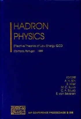 Blin / Hiller / Ruivo |  Hadron Physics: Effective Theories of Low Energy QCD | Buch |  Sack Fachmedien