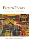 Desolneux / Mumford |  Pattern Theory | Buch |  Sack Fachmedien
