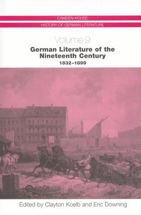 Koelb / Downing | German Literature of the Nineteenth Century, 1832-1899 | Buch | 978-1-57113-250-5 | sack.de