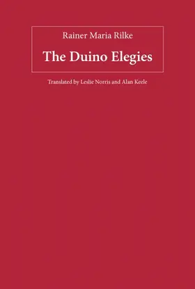 Rilke | The Duino Elegies | Buch | 978-1-57113-391-5 | sack.de