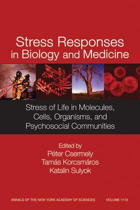 Csermely / Korcsmáros / Sulyok | Stress Responses in Biology and Medicine | Buch | 978-1-57331-675-0 | sack.de