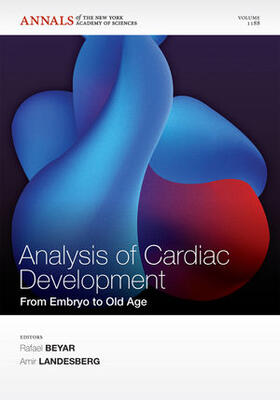 Beyar / Landesberg | Analysis of Cardiac Development | Buch | 978-1-57331-747-4 | sack.de