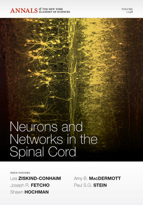 Ziskind-Conhaim / Fetcho / Hochman | Neurons and Networks in the Spinal Cord, Volume 1198 | Buch | 978-1-57331-778-8 | sack.de
