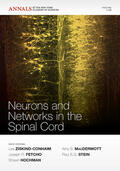 Ziskind-Conhaim / Fetcho / Hochman |  Neurons and Networks in the Spinal Cord, Volume 1198 | Buch |  Sack Fachmedien