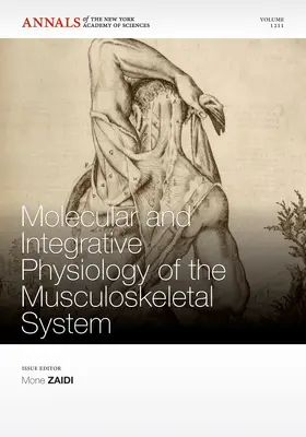 Mechanick / Sun / Zaidi |  Molecular and Integrative Physiology of the Musculoskeletal System, Volume 1211 | Buch |  Sack Fachmedien