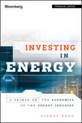 Bern |  Investing in Energy | Buch |  Sack Fachmedien