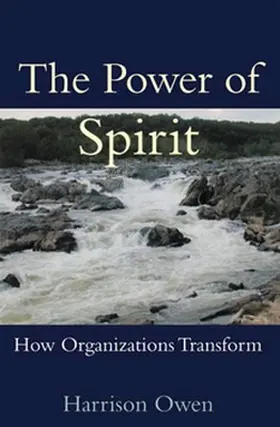 Owen |  The Power of Spirit | Buch |  Sack Fachmedien