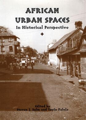 Steven Salm / Falola | African Urban Spaces in Historical Perspective | Buch | 978-1-58046-314-0 | sack.de
