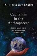 Foster |  Capitalism in the Anthropocene | eBook | Sack Fachmedien