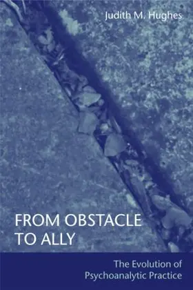 Hughes |  From Obstacle to Ally | Buch |  Sack Fachmedien