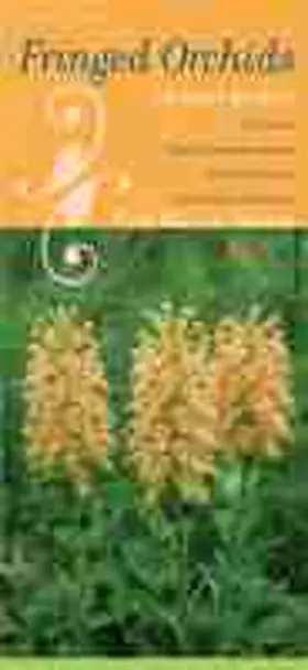 Brown |  Fringed Orchids in Your Pocket: A Guide to Native Platanthera Species of the Continental United States and Canada | Buch |  Sack Fachmedien