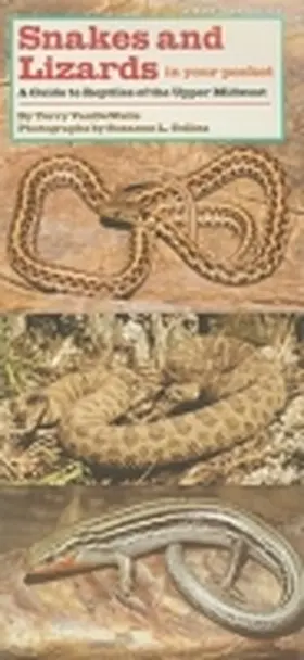 Vandewalle |  Snakes and Lizards in Your Pocket: A Guide to Reptiles of the Upper Midwest | Buch |  Sack Fachmedien