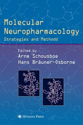 Bräuner-Osborne / Schousboe |  Molecular Neuropharmacology | Buch |  Sack Fachmedien