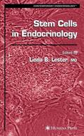 Lester |  Stem Cells in Endocrinology | Buch |  Sack Fachmedien