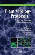 Foster / Nagy / Johansen |  Plant Virology Protocols | Buch |  Sack Fachmedien