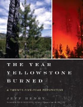 Henry |  The Year Yellowstone Burned | eBook | Sack Fachmedien