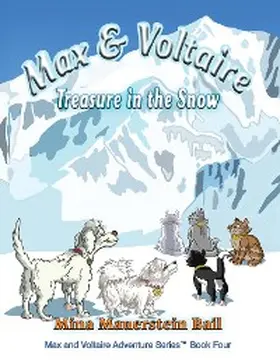 Bail |  Max & Voltaire Treasure in the Snow | eBook | Sack Fachmedien