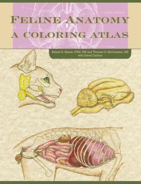 McCraken / Carlson / Fails | Feline Anatomy | Buch | 978-1-59161-045-8 | sack.de