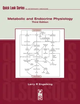Engelking |  Metabolic and Endocrine Physiology | Buch |  Sack Fachmedien