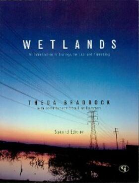 Braddock / Berntsen |  Wetlands | eBook | Sack Fachmedien