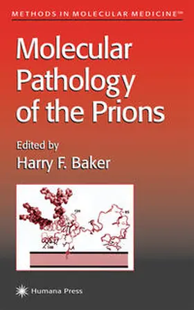 Baker |  Molecular Pathology of the Prions | eBook | Sack Fachmedien