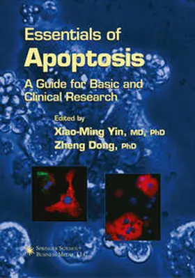 Yin / Dong |  Essentials of Apoptosis | eBook | Sack Fachmedien