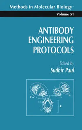 Paul | Antibody Engineering Protocols | E-Book | www.sack.de