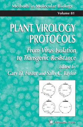 Foster / Taylor |  Plant Virology Protocols | eBook | Sack Fachmedien