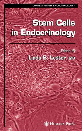 Lester |  Stem Cells in Endocrinology | eBook | Sack Fachmedien