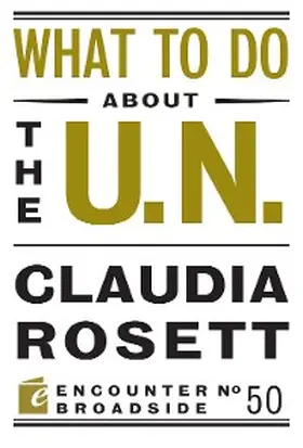 Rosett |  What to Do About the U.N. | eBook | Sack Fachmedien