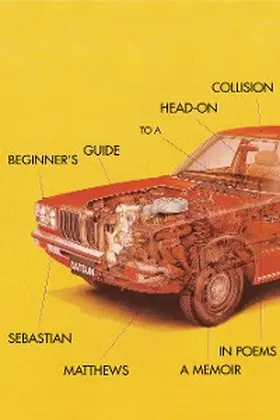 Matthews |  Beginner's Guide to a Head-On Collision | eBook | Sack Fachmedien