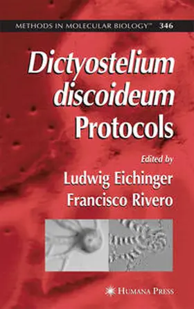 Eichinger |  Dictyostelium discoideum Protocols | eBook | Sack Fachmedien