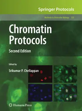 Chellappan | Chromatin Protocols | E-Book | www.sack.de