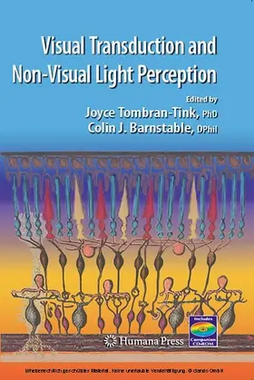 Tombran-Tink / Barnstable |  Visual Transduction And Non-Visual Light Perception | eBook | Sack Fachmedien
