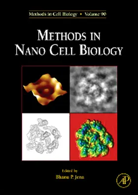 Methods in Nano Cell Biology | Buch | 978-1-59749-270-6 | sack.de