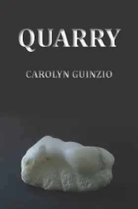 Guinzio |  Quarry | eBook | Sack Fachmedien
