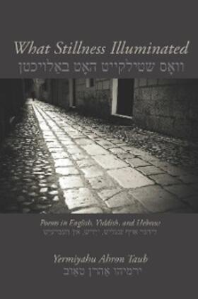Taub |  What Stillness Illuminated | eBook | Sack Fachmedien