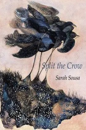 Sousa |  Split the Crow | eBook | Sack Fachmedien