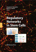 Rajasekhar / Turksen |  Regulatory Networks in Stem Cells | eBook | Sack Fachmedien