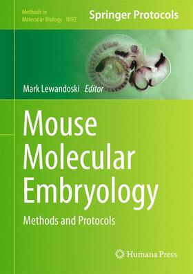 Lewandoski | Mouse Molecular Embryology | Buch | 978-1-60327-290-2 | sack.de