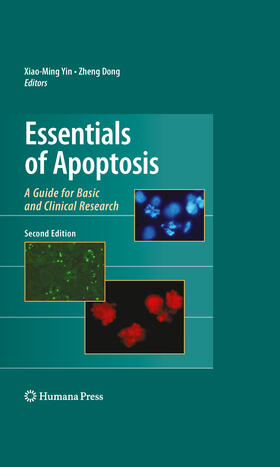 Yin / Dong | Essentials of Apoptosis | E-Book | sack.de