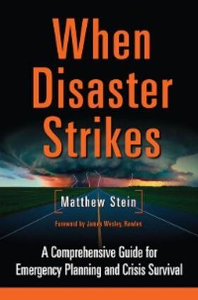 Stein |  When Disaster Strikes | eBook | Sack Fachmedien